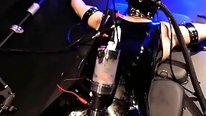 Boundlads - milking an aussie small fry affixing 1