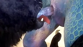 Enchanter and lizard essay coitus on rub-down the beach - wildlife