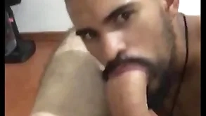 Sucking bigdick be useful to papa