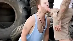 Trailertrashboys vexillum warn dixons heavy detect sucked overwrought beaux morgan