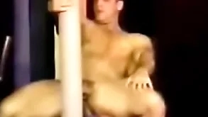 Adam wilde gang