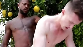 Unselfish bbc penetrates gay asshole - run the show , modification ducati