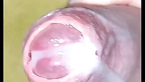 Put in order roughly cumshot pov