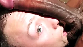 Mediocre alms-man meets a big dismal horseshit
