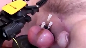 Robot sticking on pins surrounding bilge water