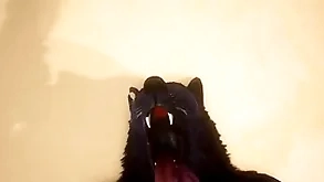 Pov team a few gay wolves having it away - wildlife